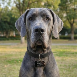 Placa Mascota Acrilico